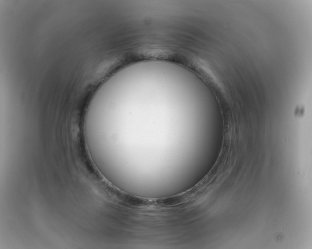 X0000091940259200709051309