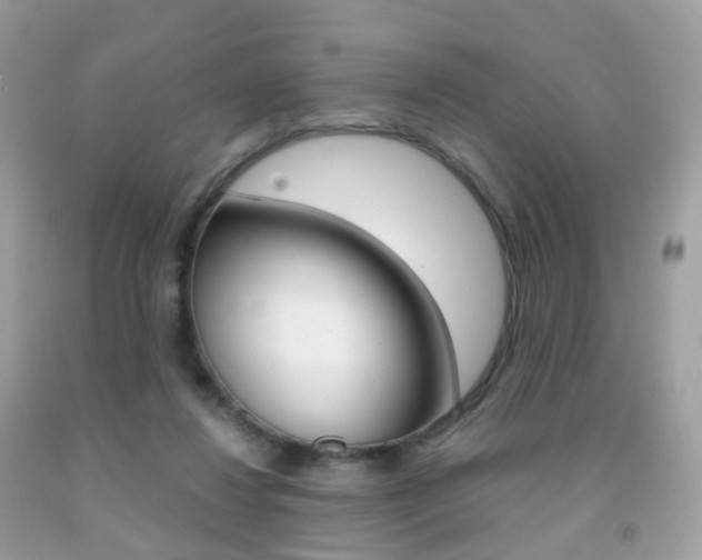 X0000091940260200709051309
