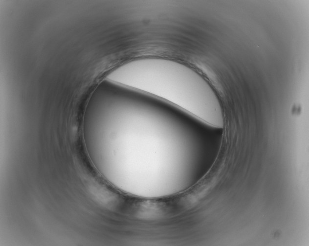 X0000091940261200709051309