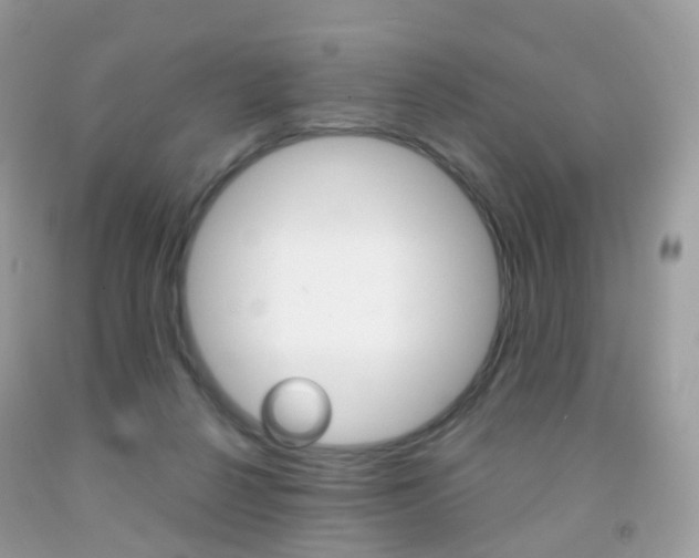 X0000091940264200709051309
