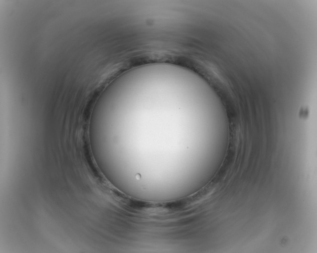X0000091940266200709051309