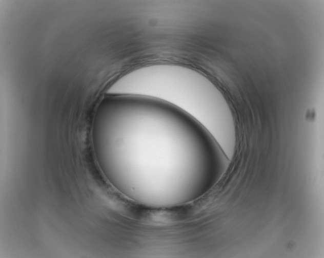 X0000091940268200709051309