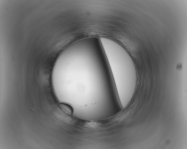 X0000091940269200709051309