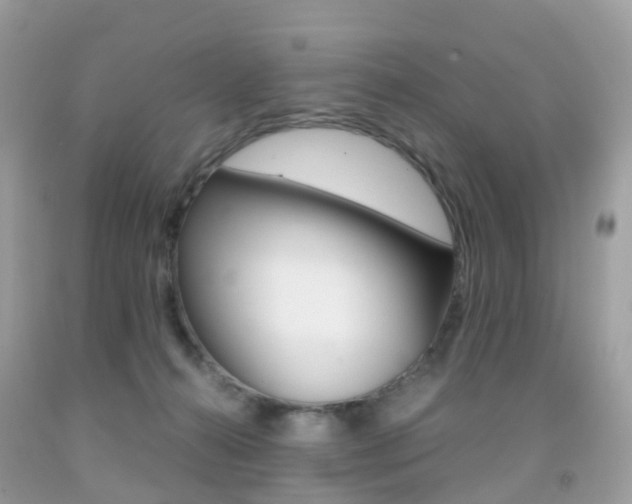 X0000091940272200709051309