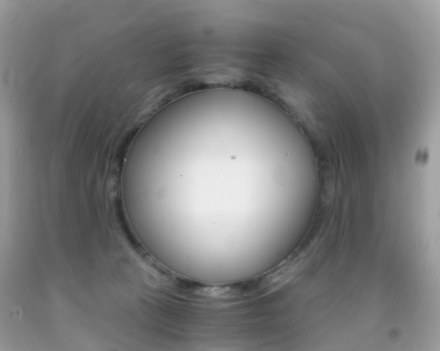 X0000091940273200709051309