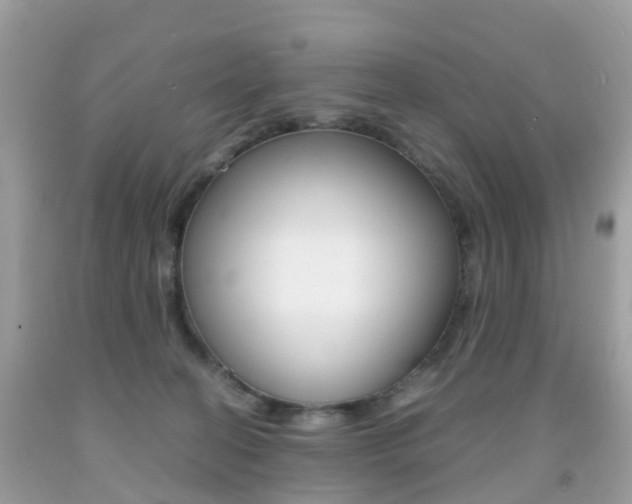X0000091940274200709051309