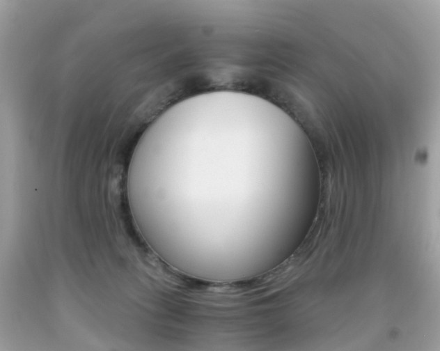 X0000091940275200709051309