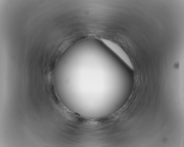 X0000091940276200709051309