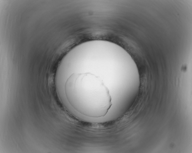 X0000091940278200709051309