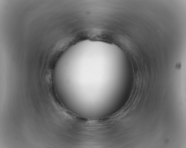 X0000091940280200709051309