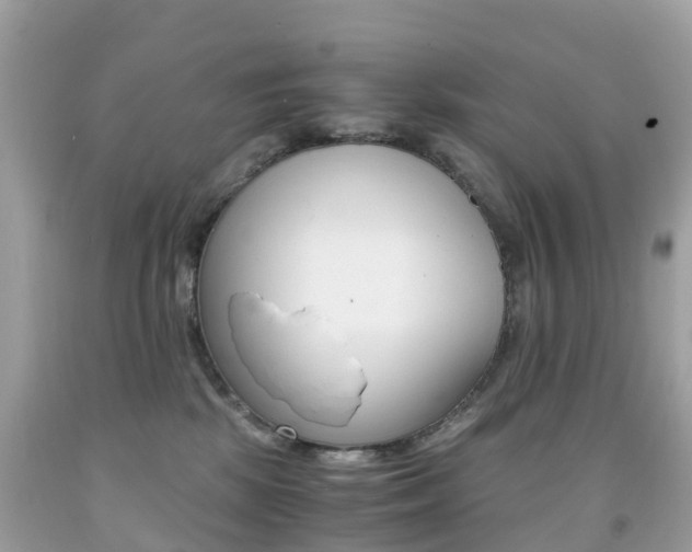 X0000091940281200709051309