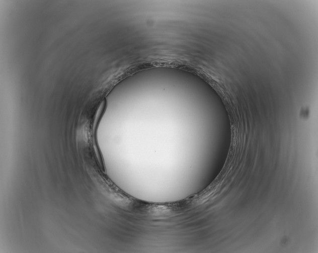 X0000091940287200709051309