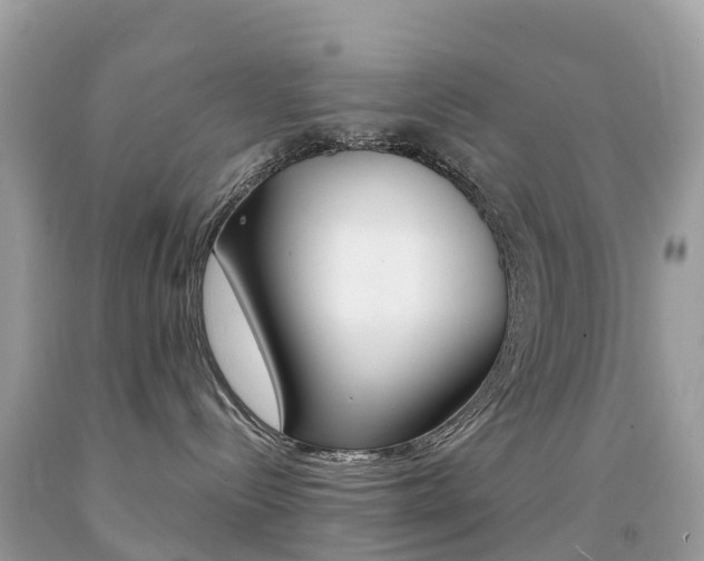X0000091940288200709051309