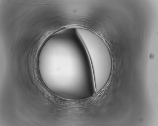 X0000091940289200709051308
