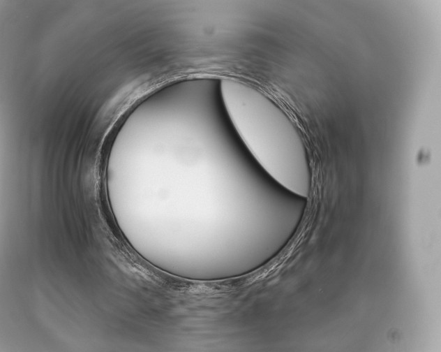 X0000091940290200709051308