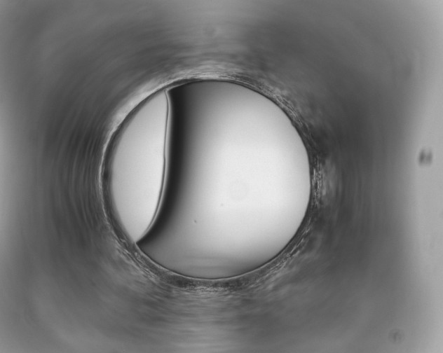 X0000091940292200709051308