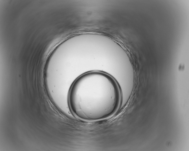 X0000091940293200709051308