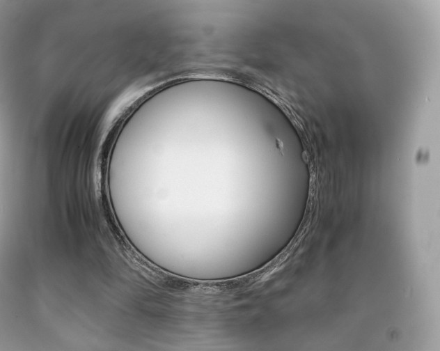 X0000091940294200709051308