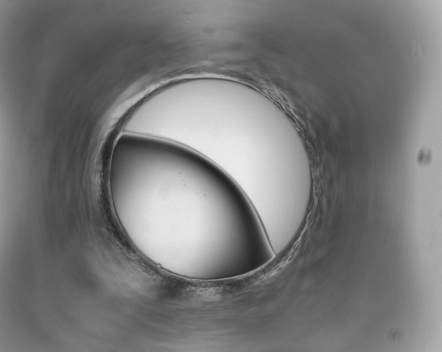 X0000091940295200709051308