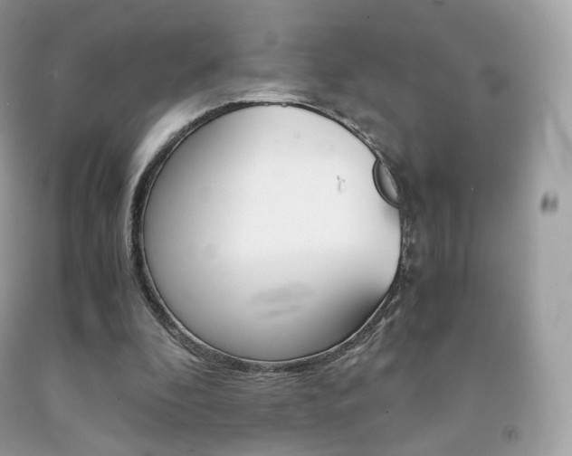 X0000091940296200709051308