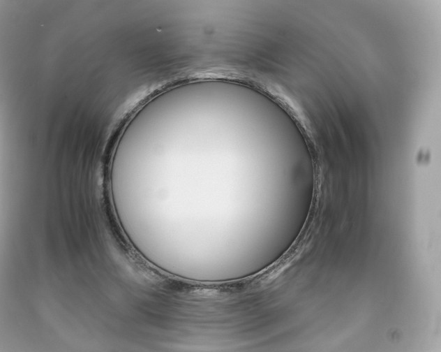 X0000091940298200709051308