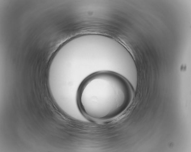 X0000091940301200709051308