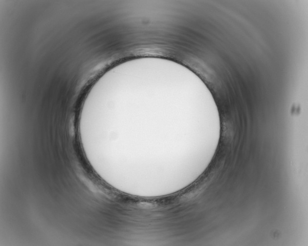 X0000091940302200709051308