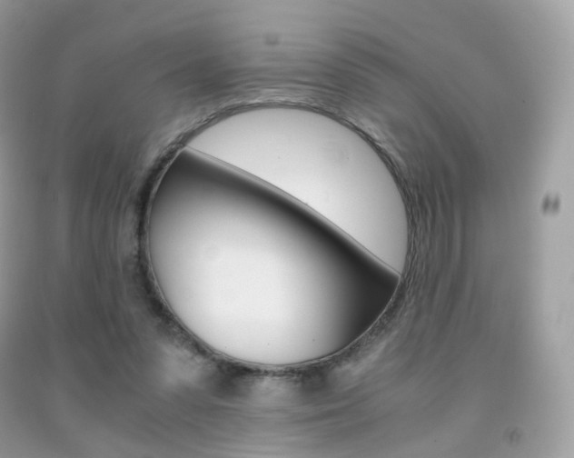 X0000091940303200709051308