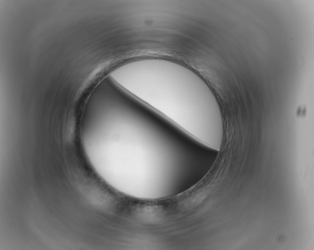X0000091940304200709051308