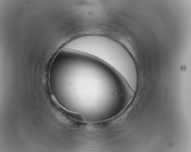 X0000091940305200709051308