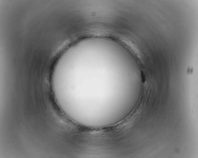 X0000091940306200709051308