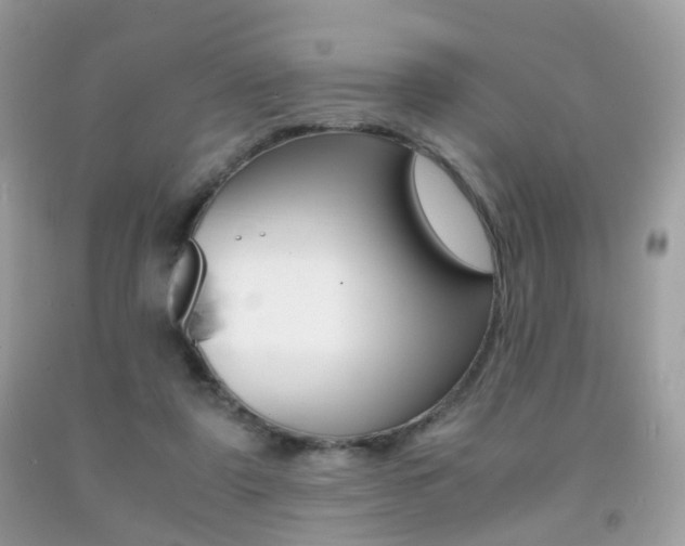X0000091940307200709051308