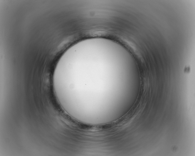 X0000091940308200709051308