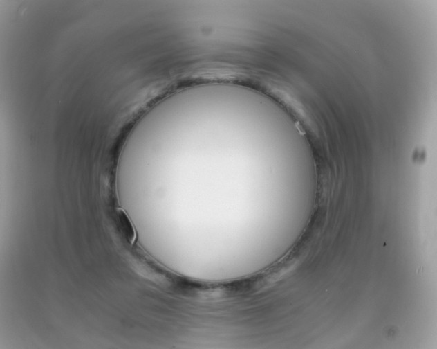 X0000091940309200709051308