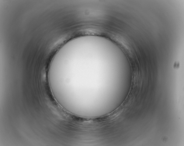 X0000091940310200709051308