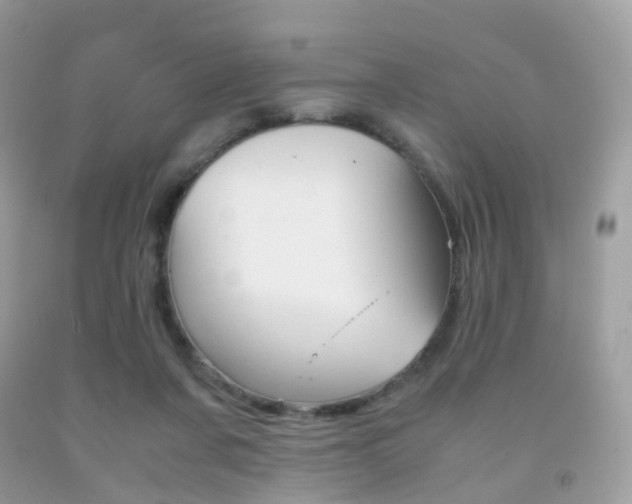 X0000091940311200709051308