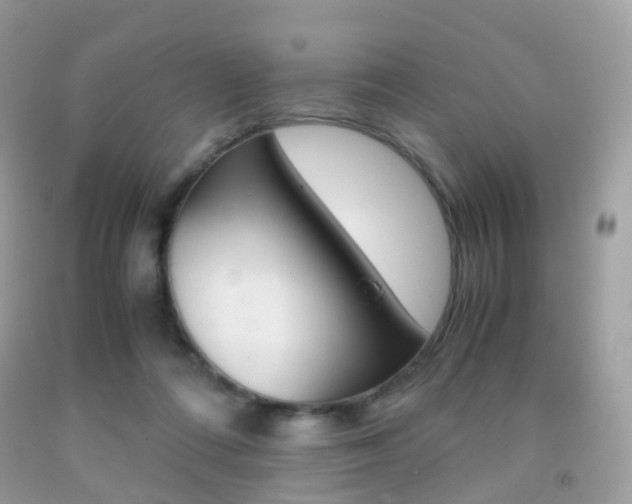 X0000091940312200709051308