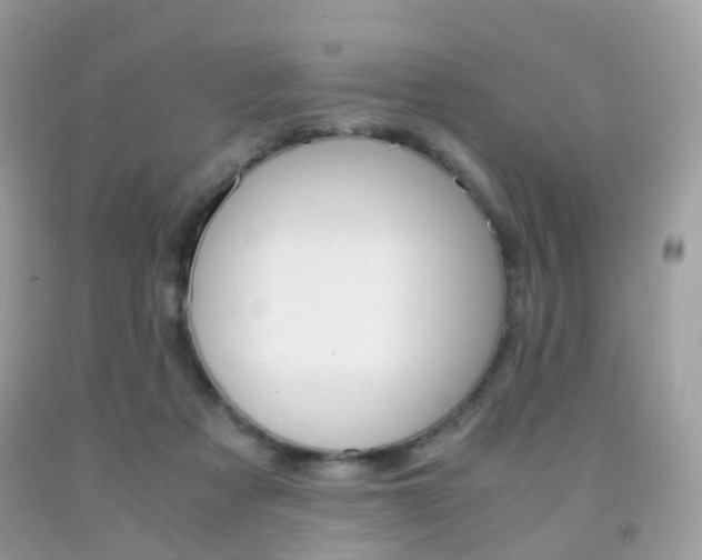 X0000091940313200709051308