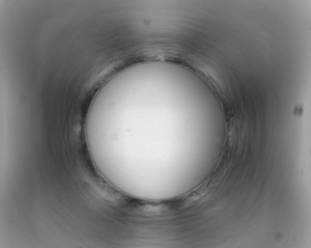X0000091940314200709051308
