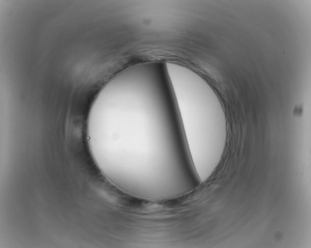 X0000091940315200709051308
