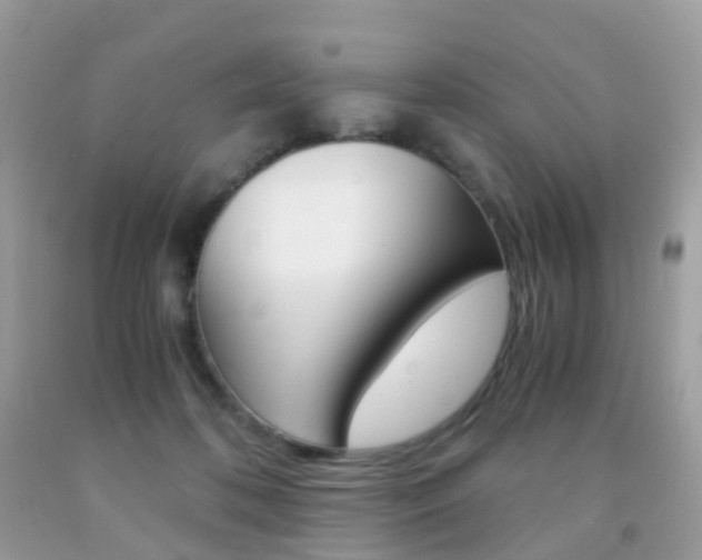 X0000091940316200709051308