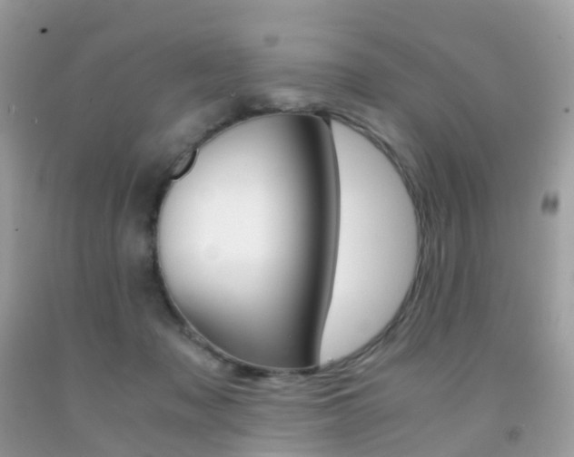 X0000091940317200709051308