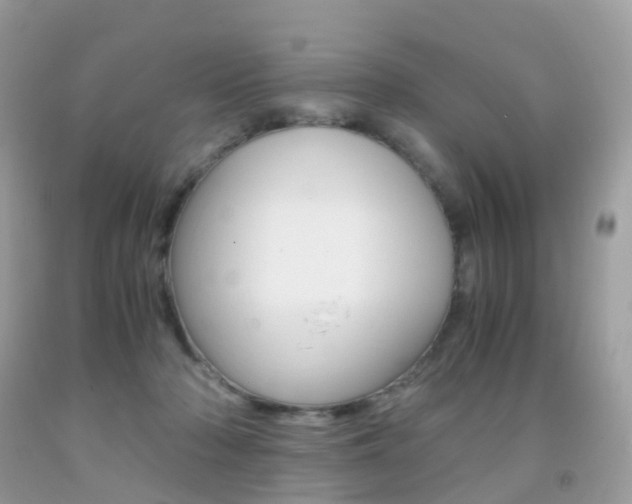 X0000091940318200709051308