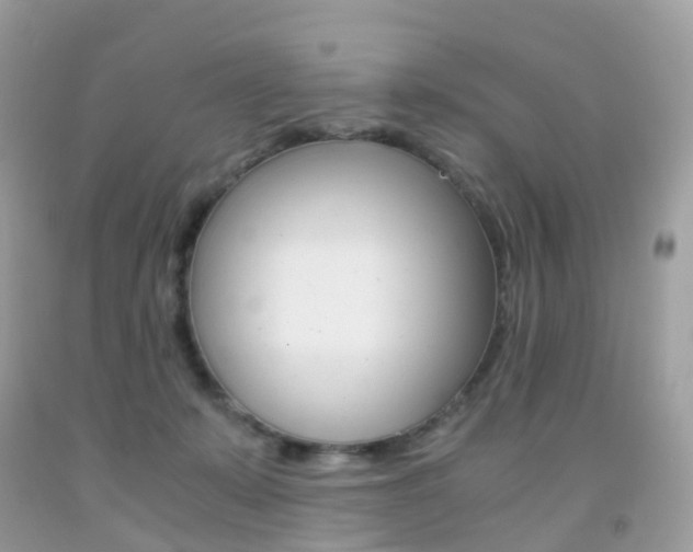 X0000091940319200709051308