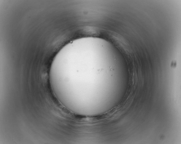 X0000091940320200709051308