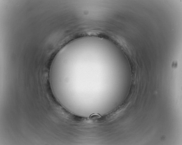 X0000091940321200709051308