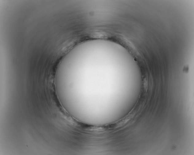 X0000091940322200709051308