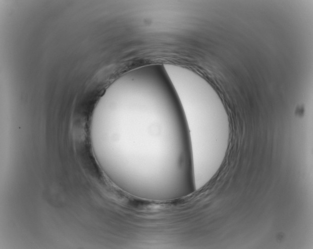 X0000091940323200709051308