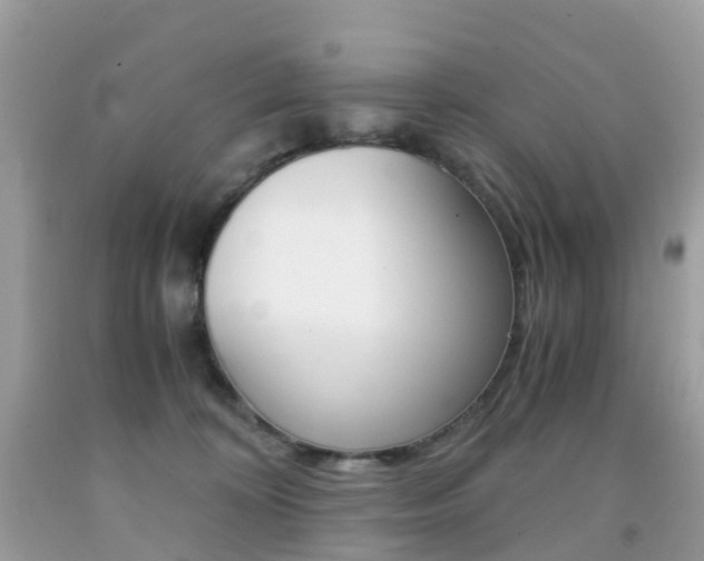 X0000091940324200709051308