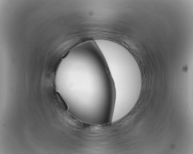 X0000091940325200709051308